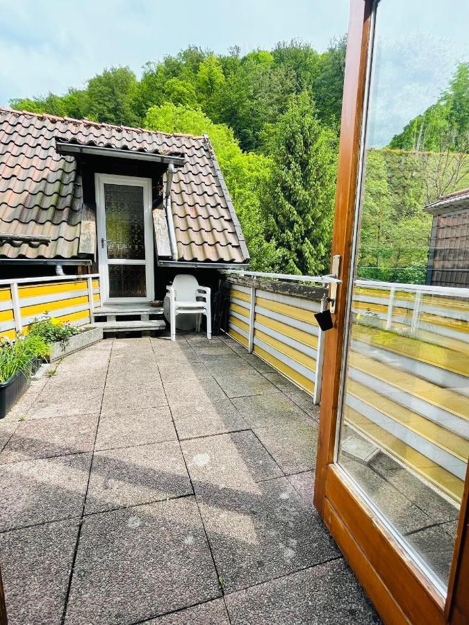 Gemuetliches Apartment Mit Kamin Und Wohnkueche Herzberg am Harz Eksteriør billede
