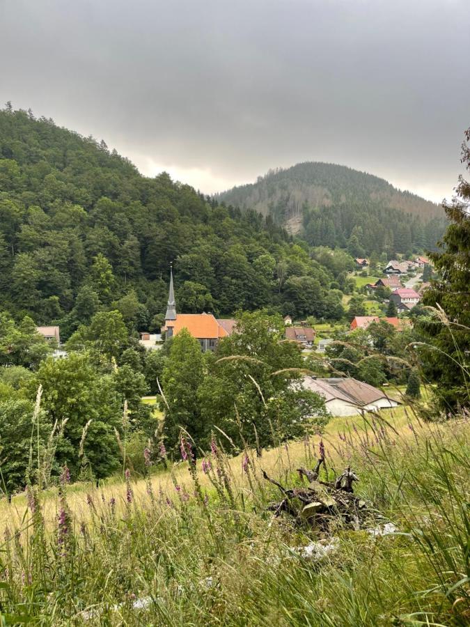 Gemuetliches Apartment Mit Kamin Und Wohnkueche Herzberg am Harz Eksteriør billede