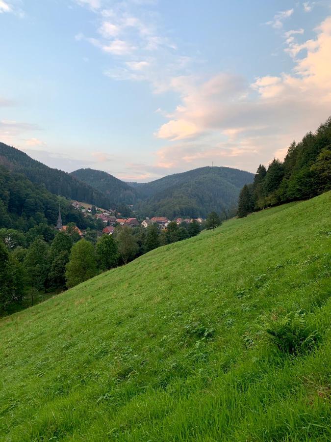 Gemuetliches Apartment Mit Kamin Und Wohnkueche Herzberg am Harz Eksteriør billede